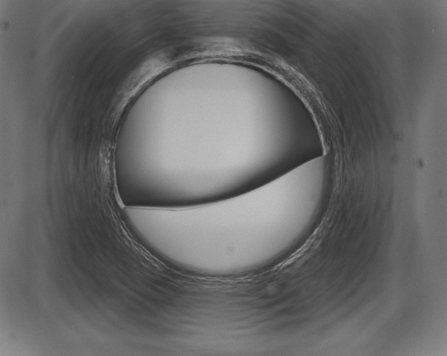 X0000087631409200705030716