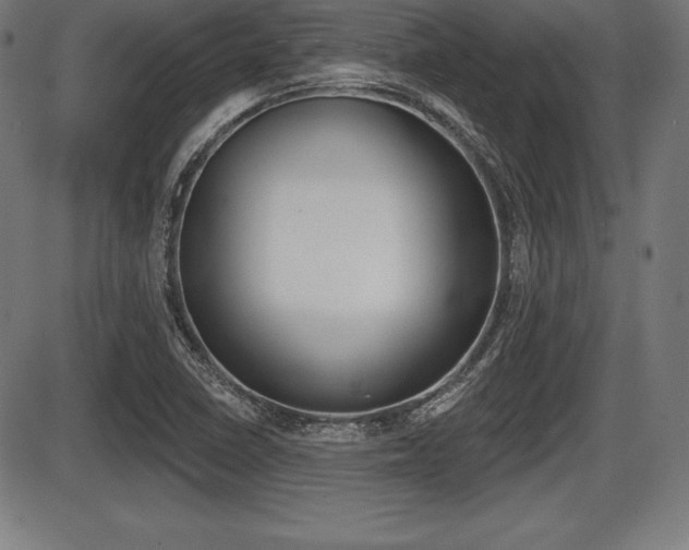X0000087631410200705030716