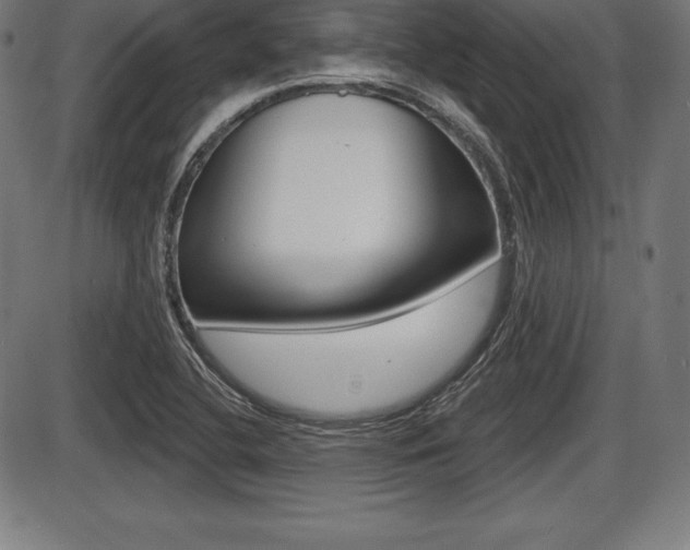 X0000087631412200705030716