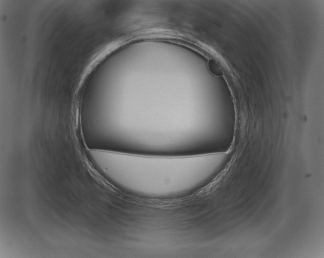 X0000087631413200705030716