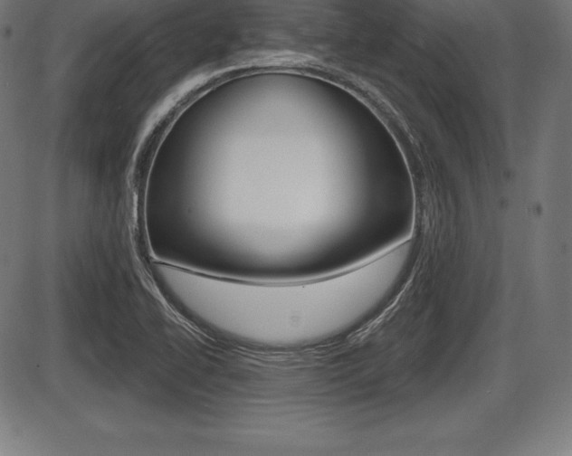 X0000087631414200705030716