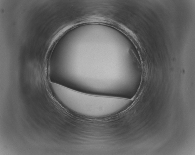 X0000087631415200705030716