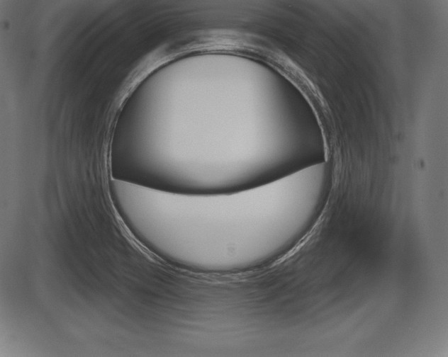 X0000087631417200705030716