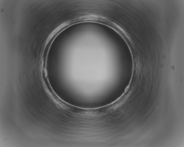 X0000087631418200705030716