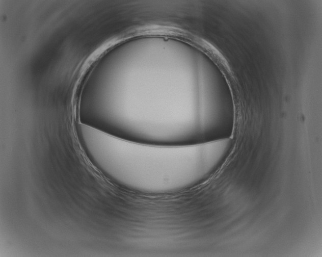 X0000087631419200705030716