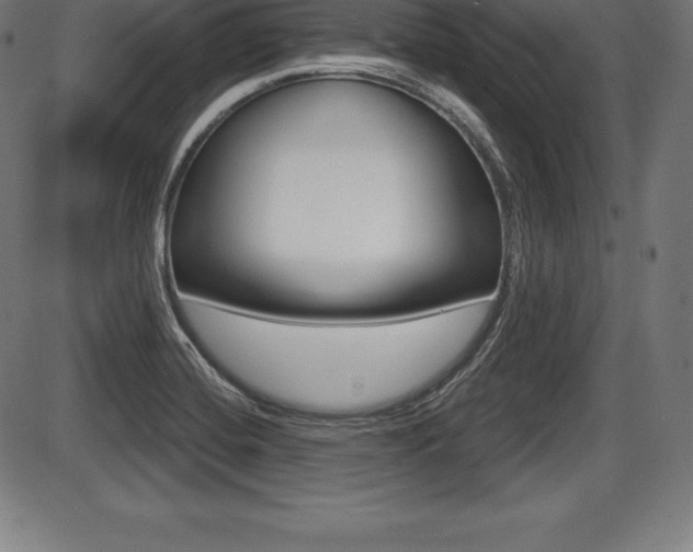 X0000087631420200705030716