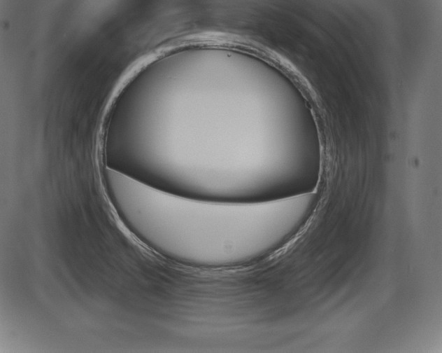 X0000087631421200705030716