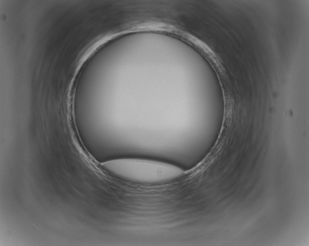X0000087631423200705030716
