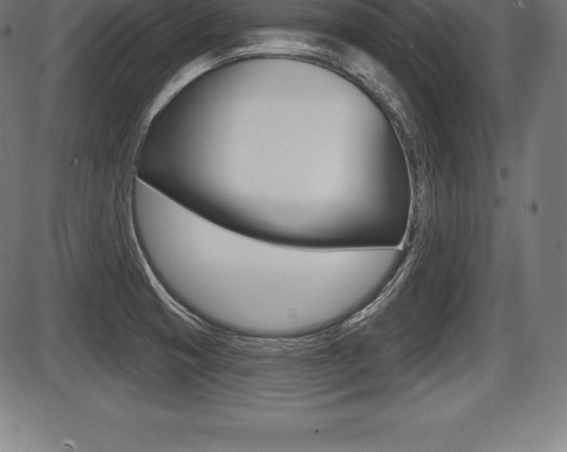 X0000087631425200705030716