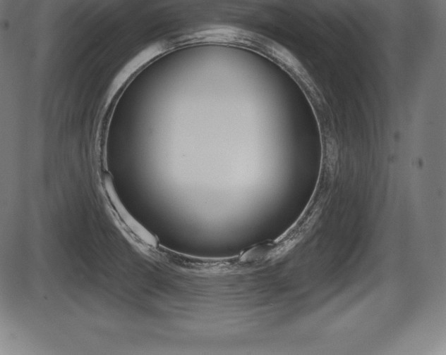 X0000087631426200705030716