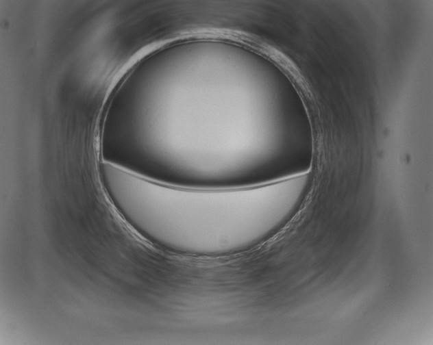 X0000087631428200705030716
