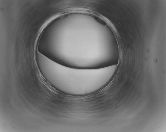 X0000087631435200705030716