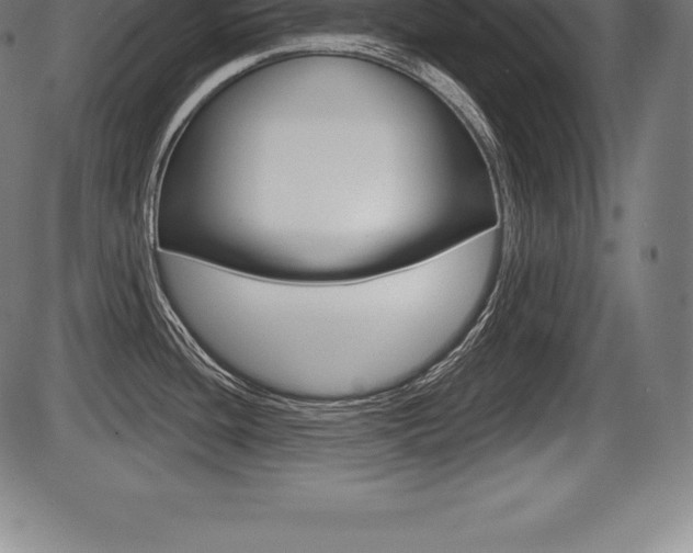 X0000087631436200705030716
