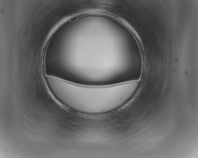X0000087631437200705030716