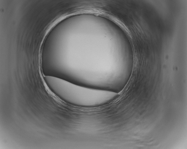 X0000087631439200705030716