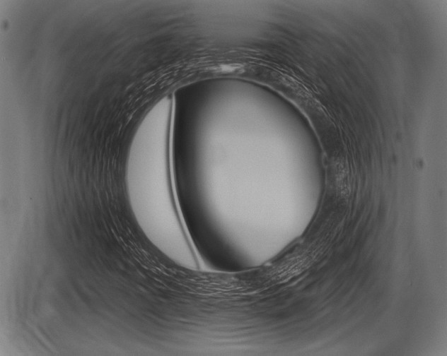 X0000087631442200705030715