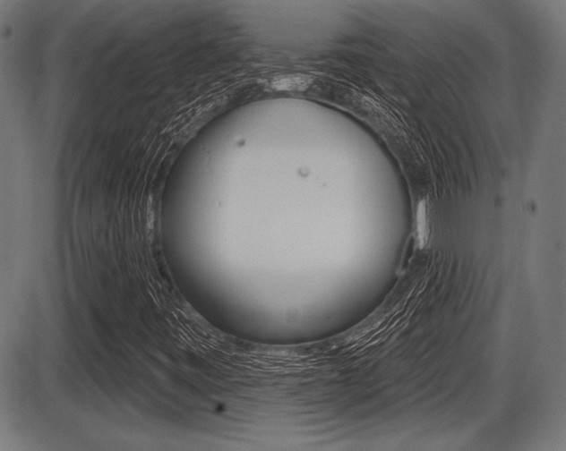 X0000087631443200705030715