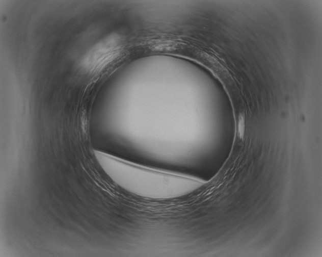 X0000087631444200705030715