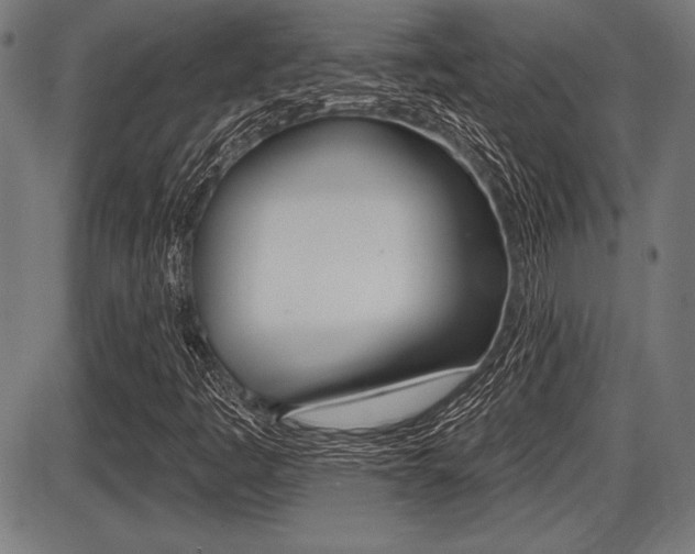 X0000087631445200705030715