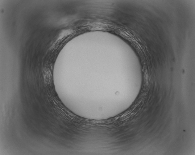 X0000087631446200705030715