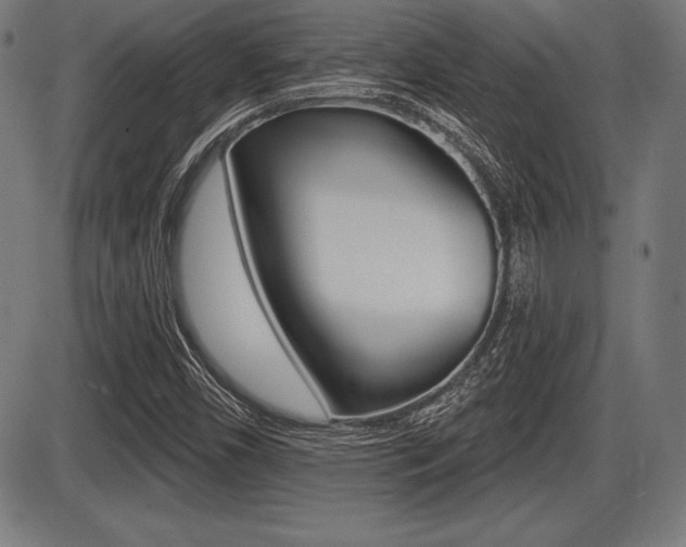 X0000087631450200705030715
