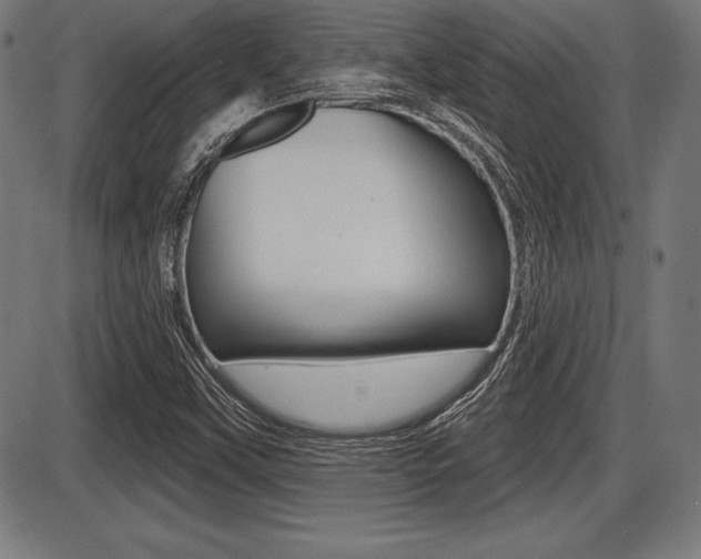 X0000087631451200705030715