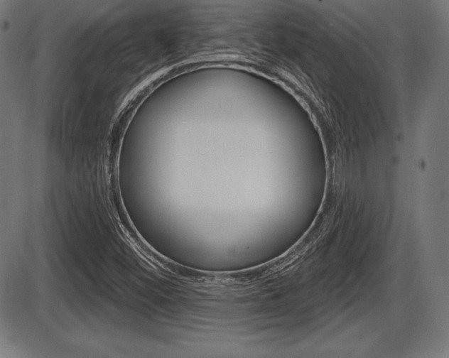 X0000087631452200705030715