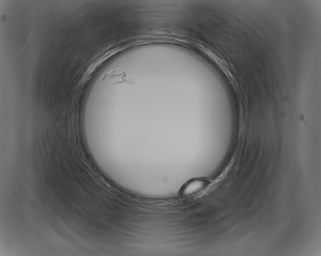X0000087631453200705030715