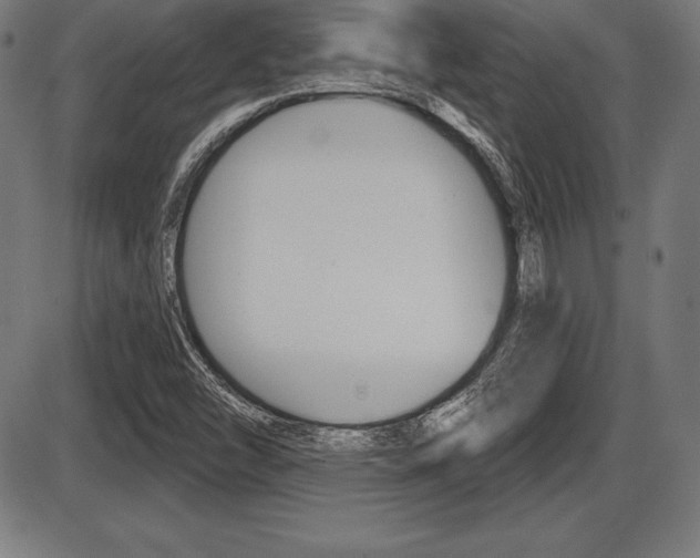 X0000087631454200705030715