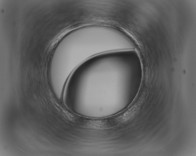 X0000087631455200705030715