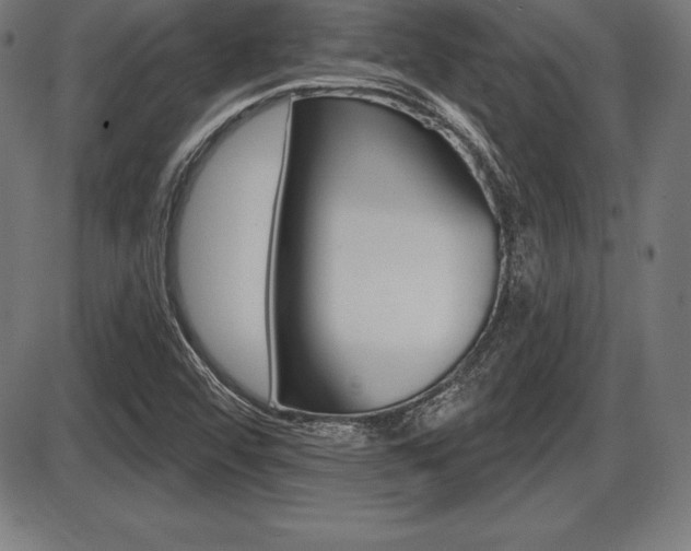 X0000087631456200705030715