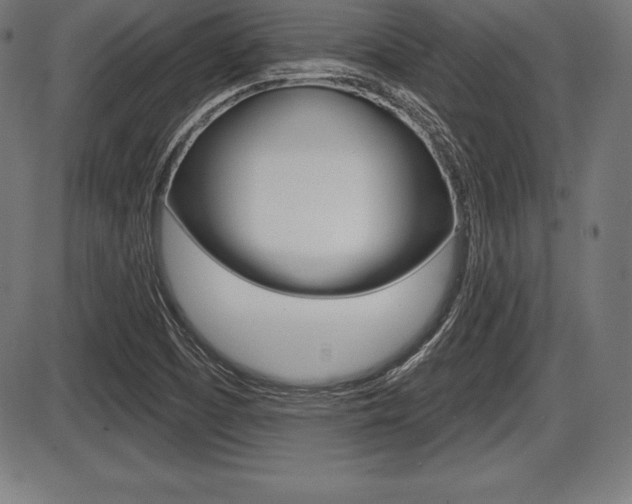 X0000087631457200705030715