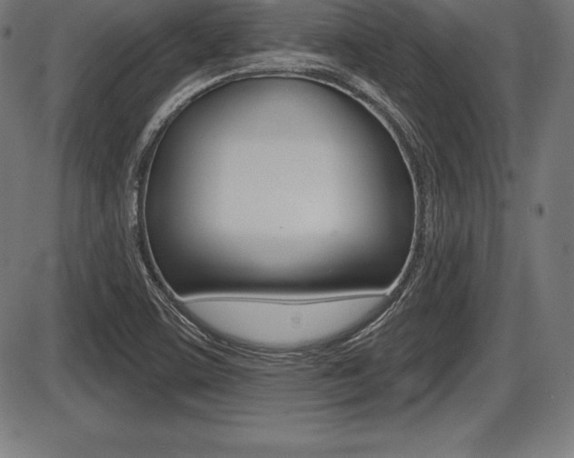 X0000087631459200705030715