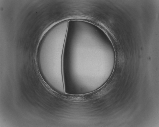 X0000087631460200705030715