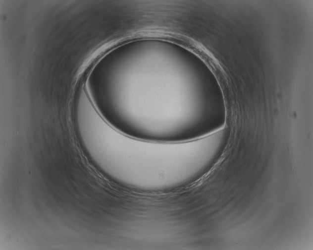 X0000087631461200705030715