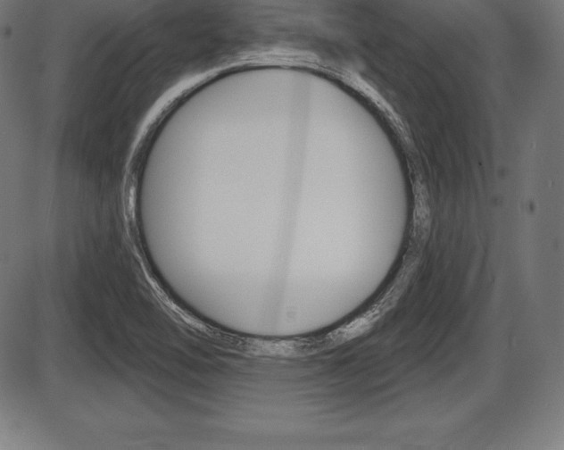 X0000087631462200705030715