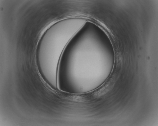 X0000087631463200705030715