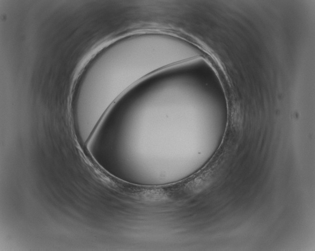 X0000087631464200705030715