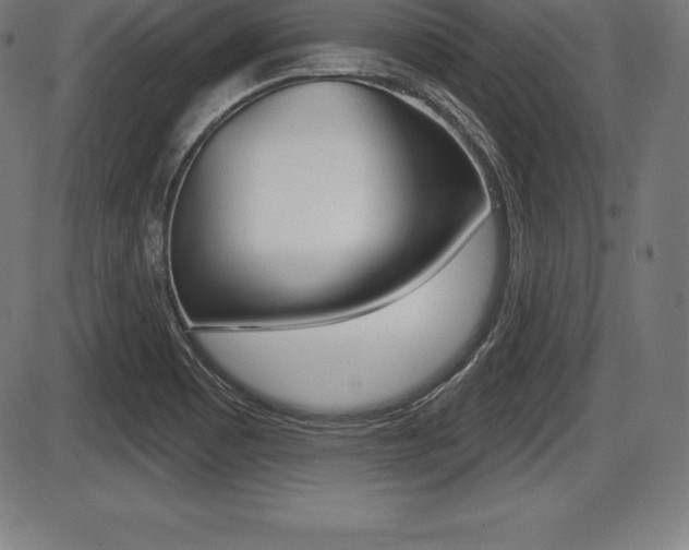 X0000087631465200705030715