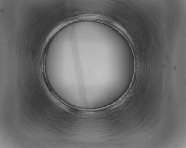 X0000087631467200705030715