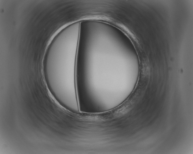 X0000087631468200705030715