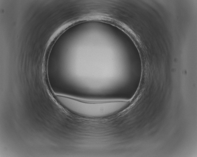 X0000087631469200705030715