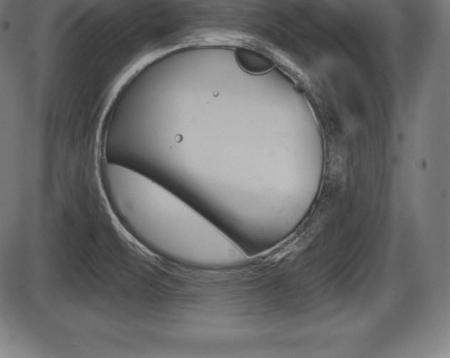 X0000087631471200705030715
