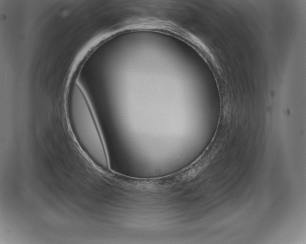 X0000087631472200705030715