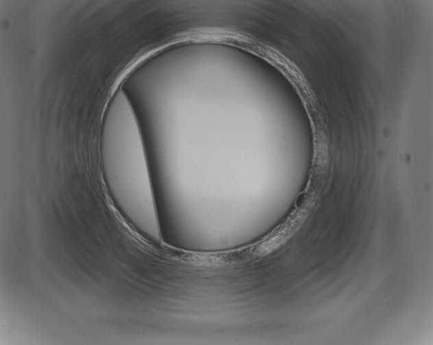 X0000087631473200705030715