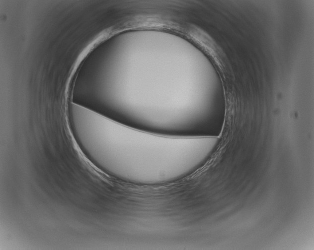 X0000087631475200705030715