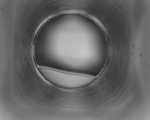 X0000087631476200705030715