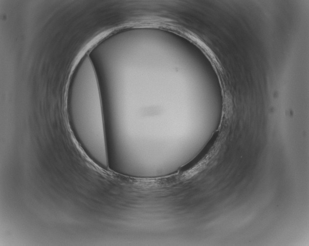 X0000087631477200705030715