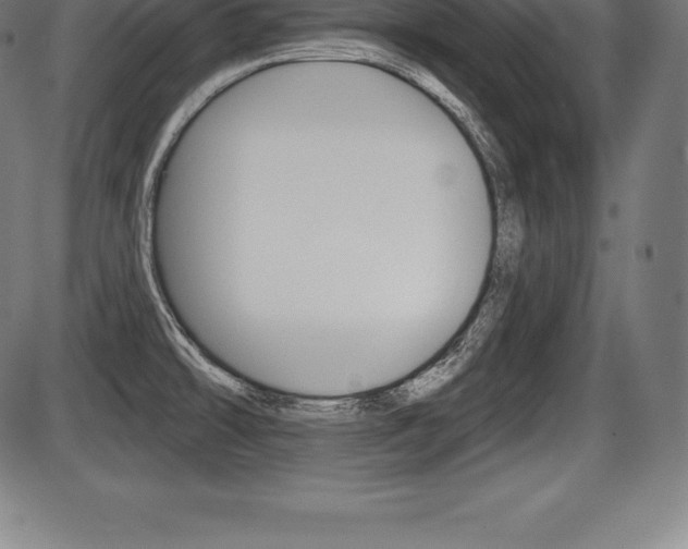 X0000087631478200705030715