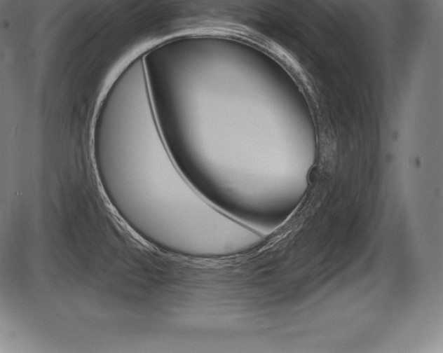 X0000087631480200705030715